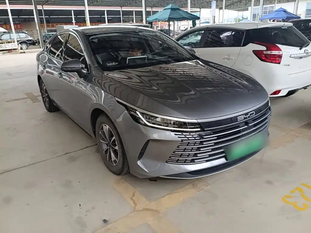BYD Destroyer 05 2024 DM-i 55KM Luxury