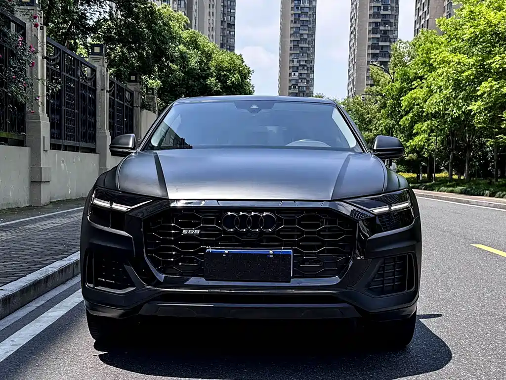 Audi Q8 2019 45 TFSI Luxury