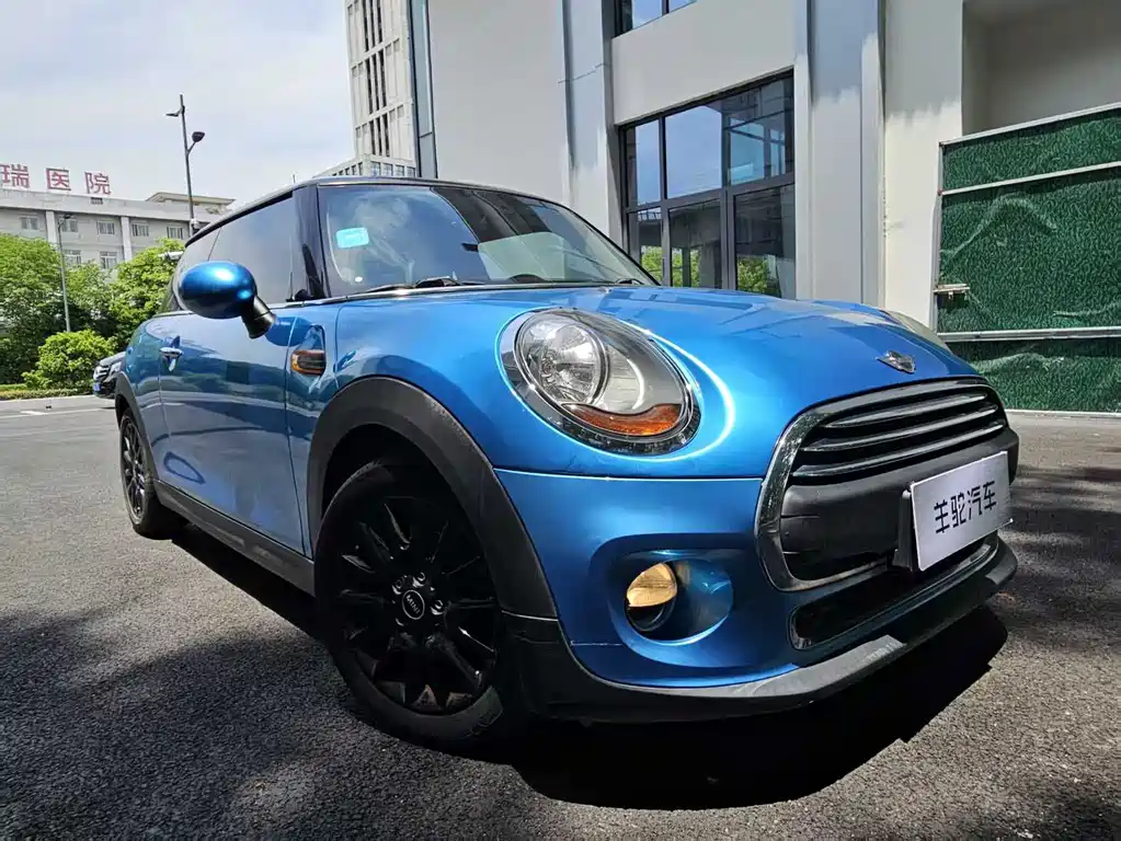 Mini Mini 2015