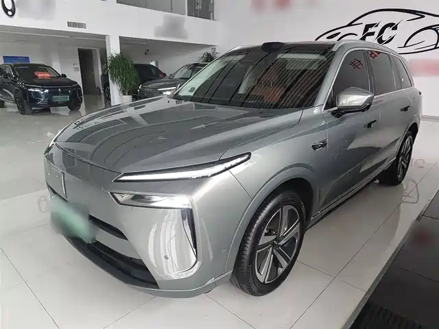 WEI PAI WEI BRAND BLUE MOUNTAIN 2024