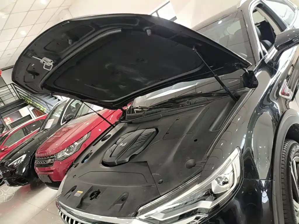 Hongqi Hongqi HS5 — миниатюра 20