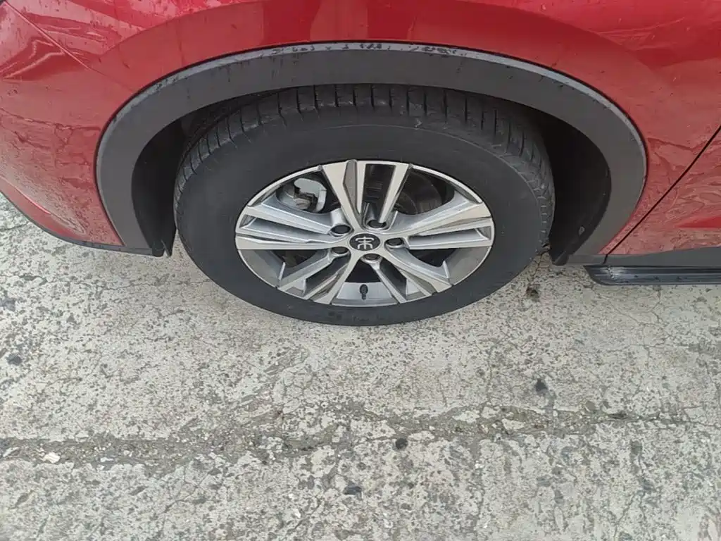 BYD Pro — миниатюра 23