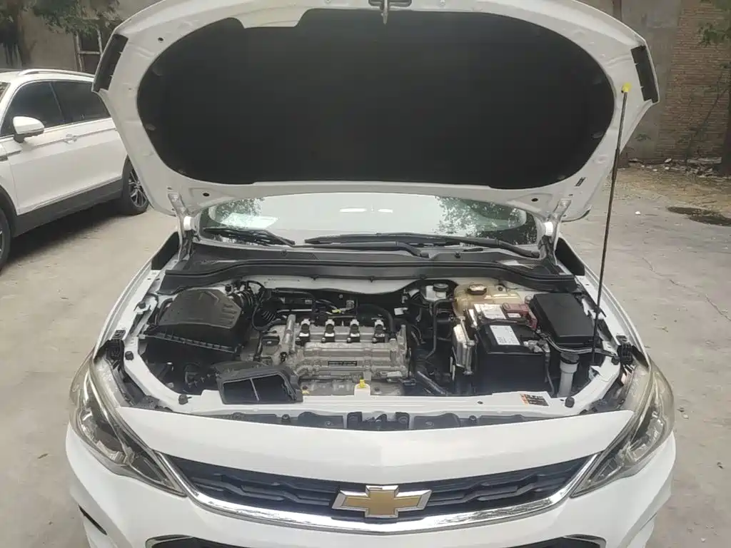 Chevrolet Cavalier — миниатюра 20