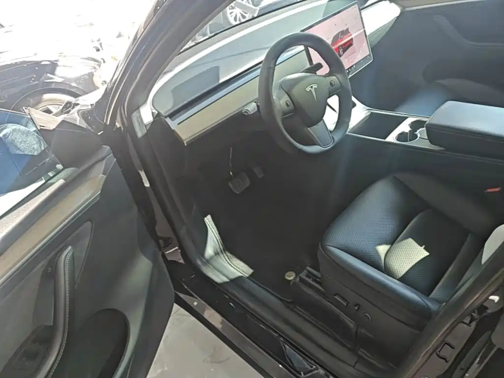 Tesla Model Y — миниатюра 16