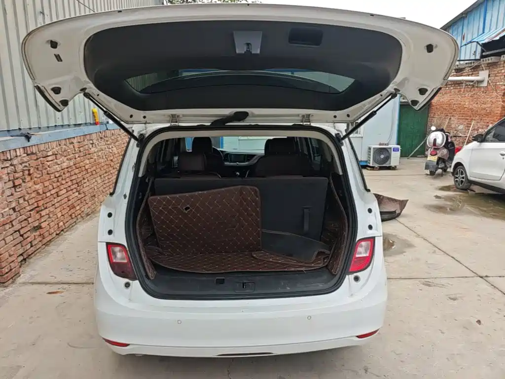 Buick GL6 — миниатюра 19