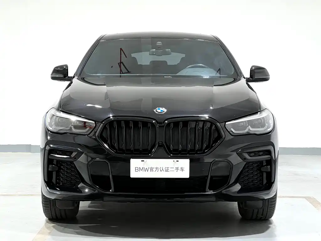 BMW X6 2022 xDrive30i M Sport