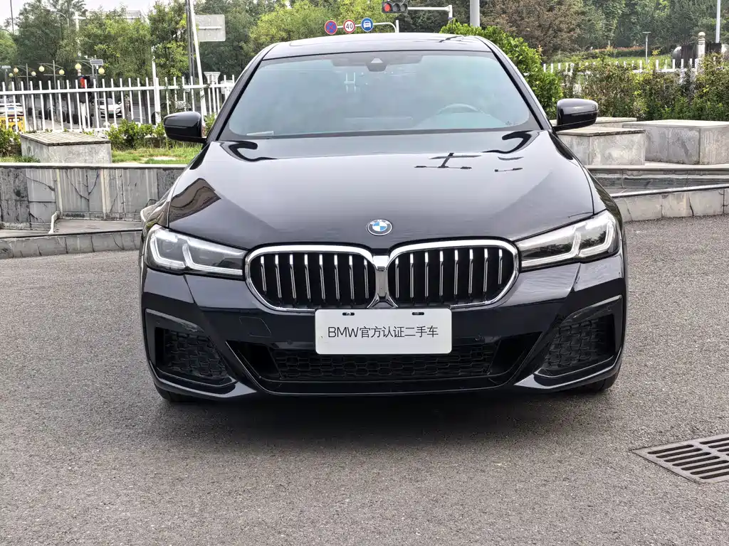 BMW 5 Series — миниатюра 2