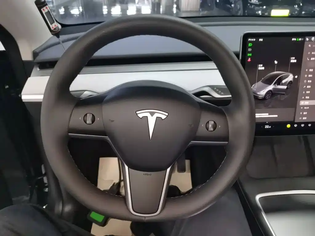 Tesla Model Y — миниатюра 11