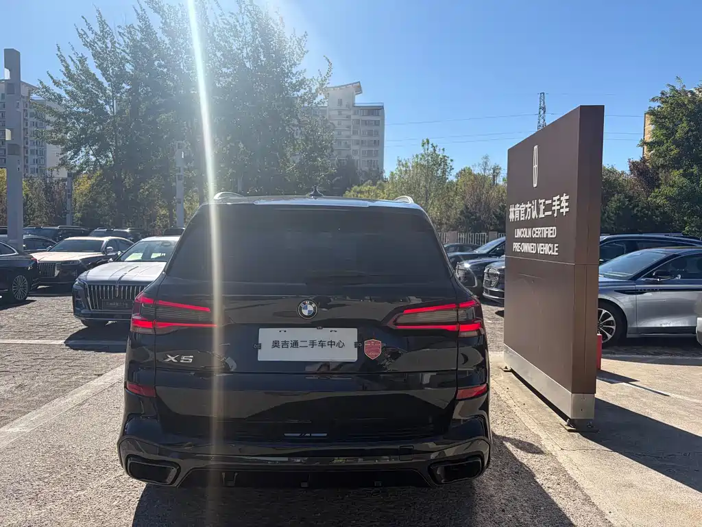 BMW X5 (Import) — миниатюра 3