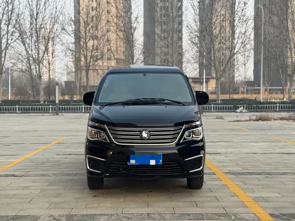 DONGFENG LINGZHI