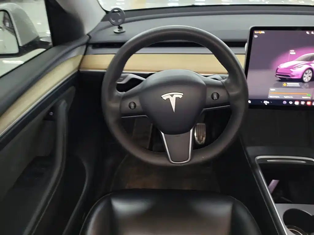 Tesla Model Y — миниатюра 11