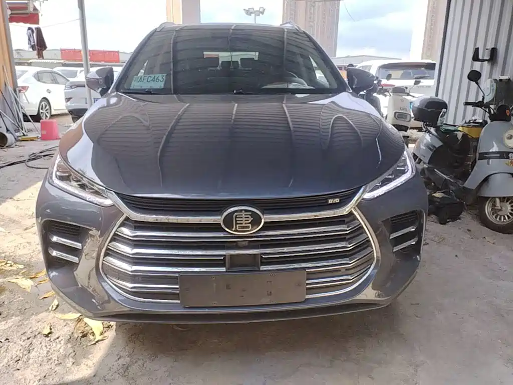 BYD Tang New Energy — миниатюра 3