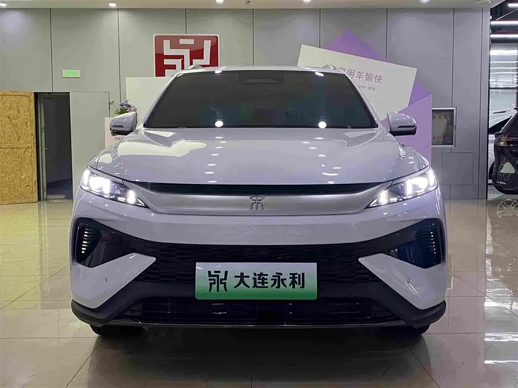 BYD Pro New Energy — миниатюра 2