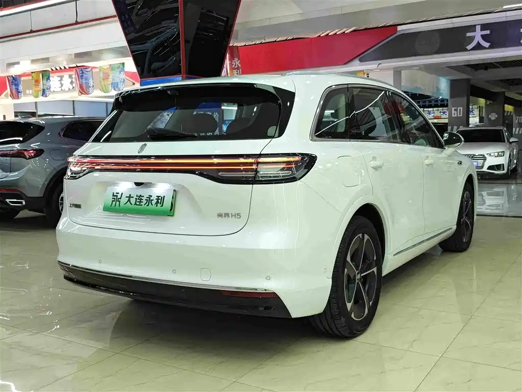 Shangjie Shangjie H5 — миниатюра 13