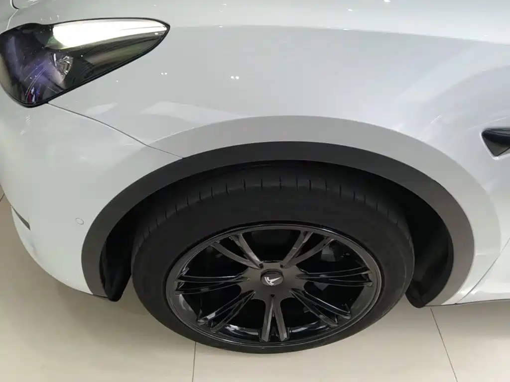 Tesla Model Y — миниатюра 23