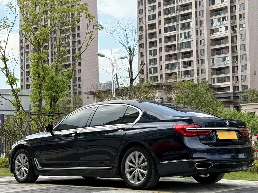 BMW 7 Series 730Li Leading Type, фото 4