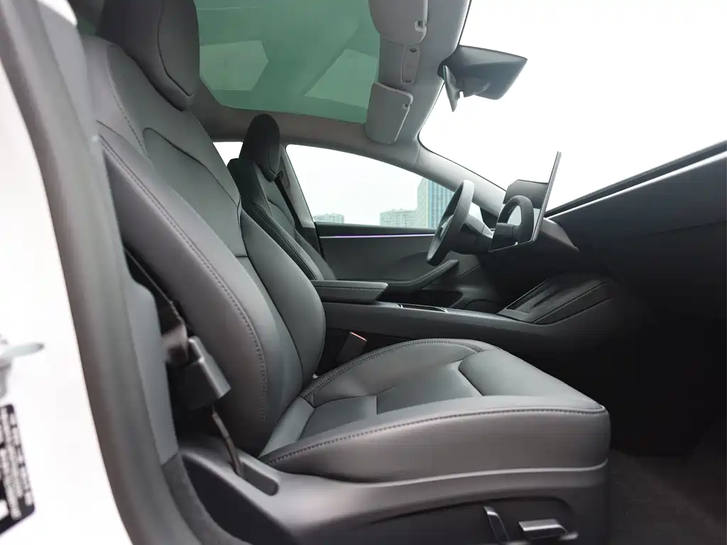 Tesla Model 3 — миниатюра 14