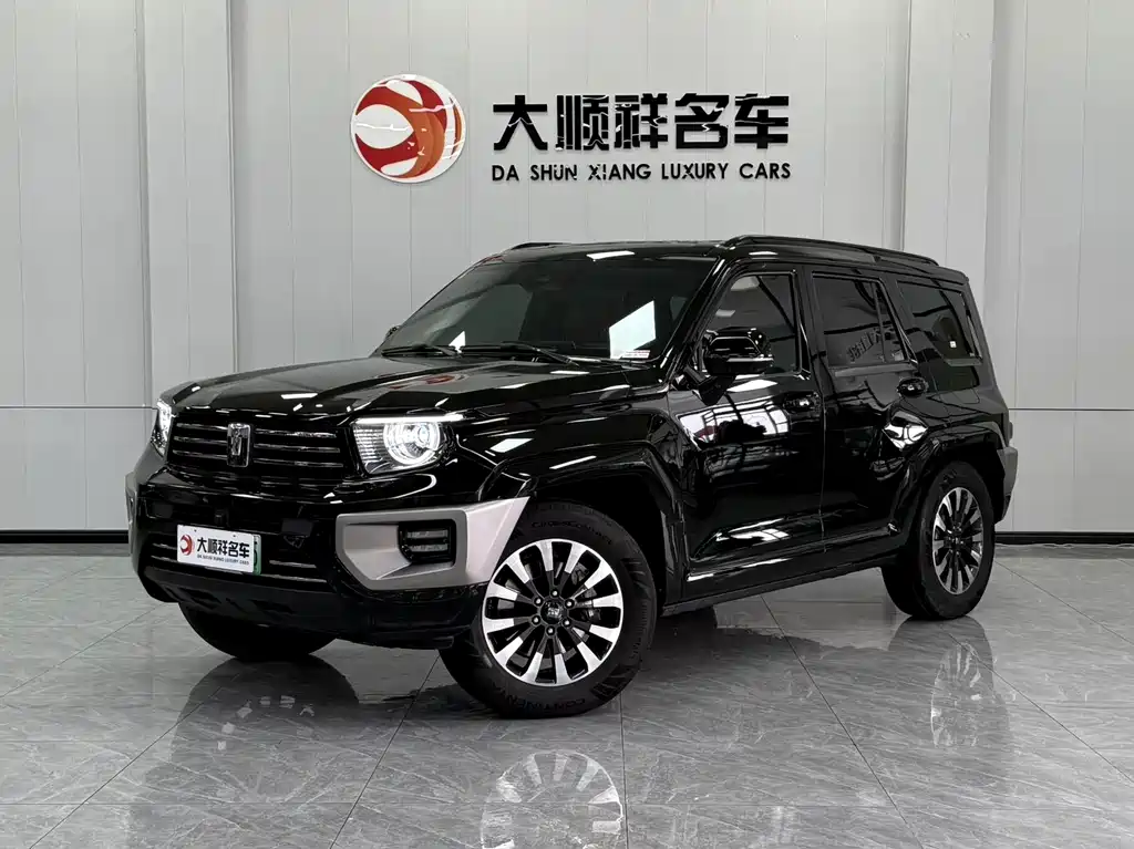 Tank Tank 700 New Energy 2024