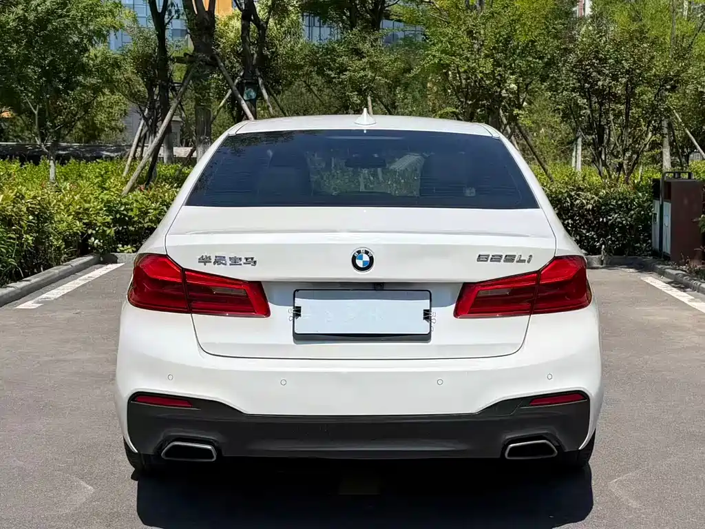 BMW 5 Series 5 2018 525Li M Sport