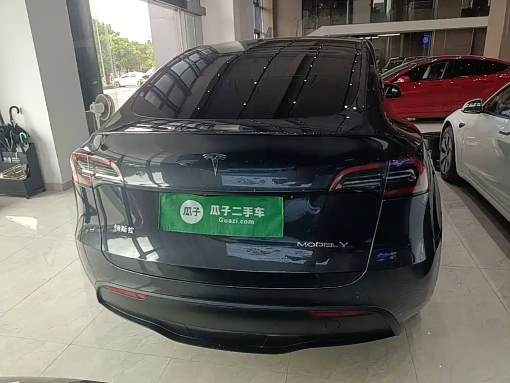 Tesla Model Y — миниатюра 6