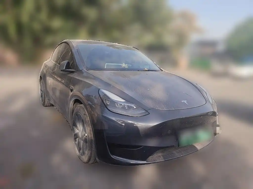 Tesla Model Y — миниатюра 24