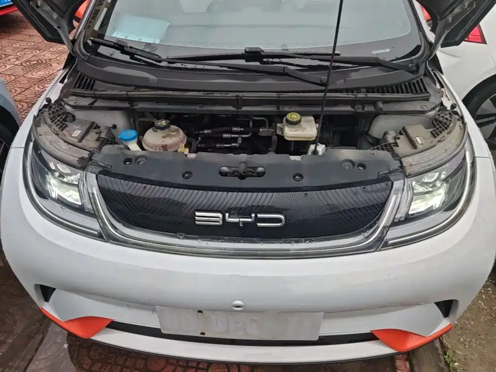 BYD Dolphin — миниатюра 20