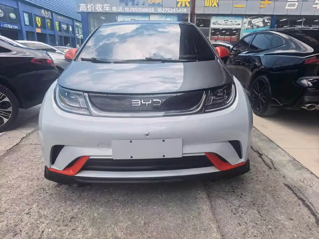 BYD Dolphin — миниатюра 2