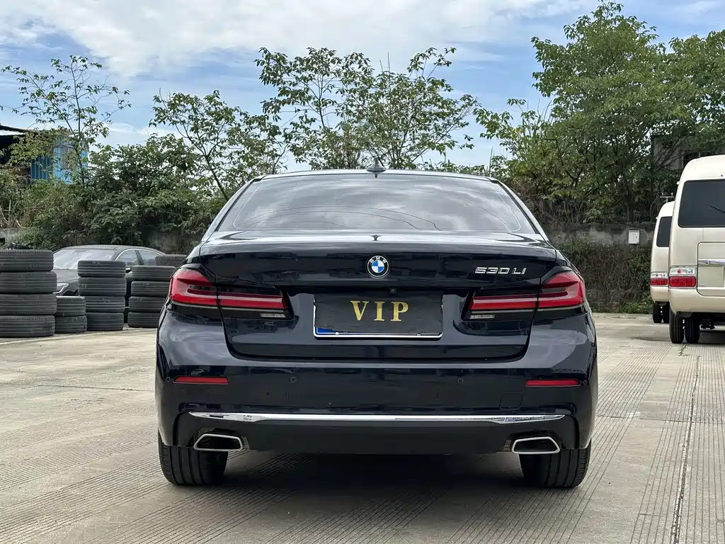 BMW 5 Series 5 2022 530Li Lead Luxury