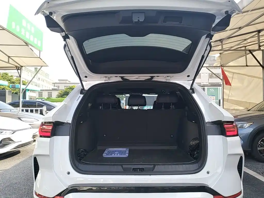 BYD PLUS New Energy — миниатюра 19