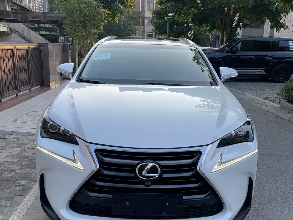 Lexus NX — миниатюра 2