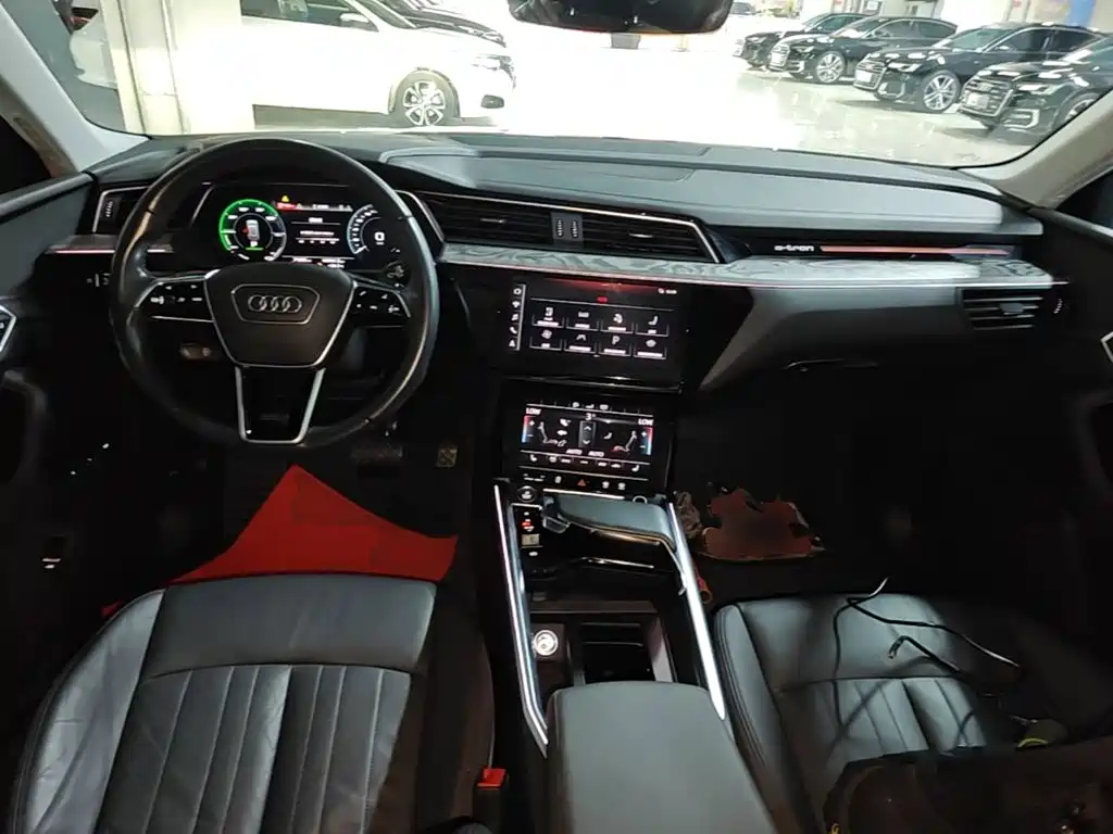 Audi e-tron (Import) — миниатюра 10