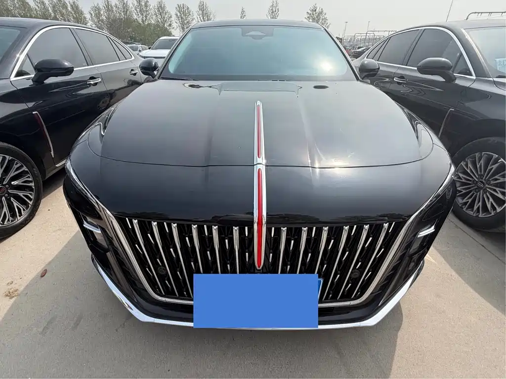 Hongqi Hongqi H5 2024