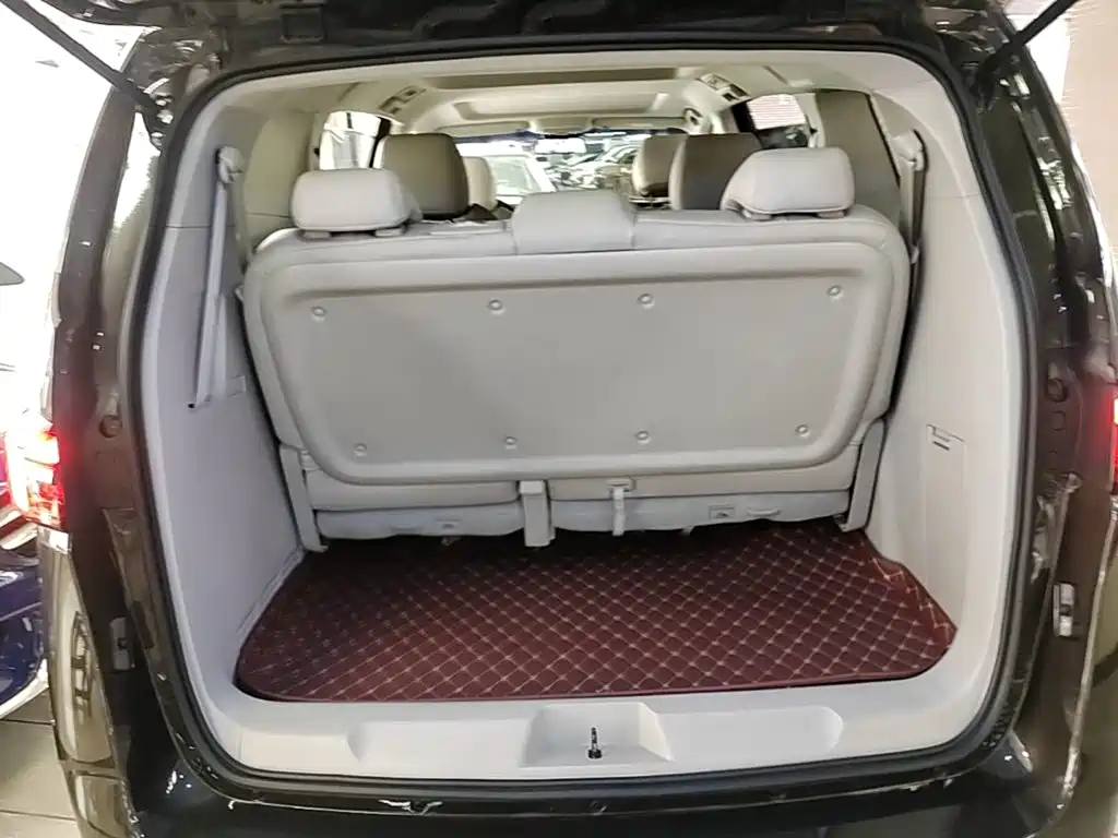 Buick GL8 — миниатюра 19