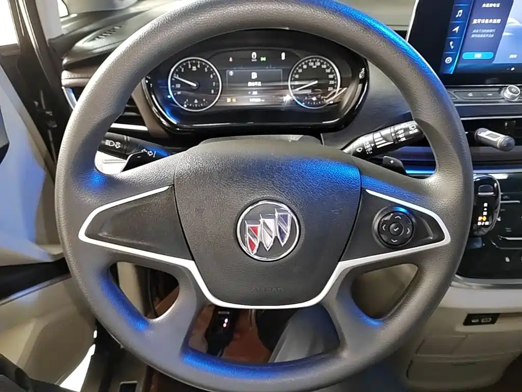 Buick GL8 — миниатюра 11