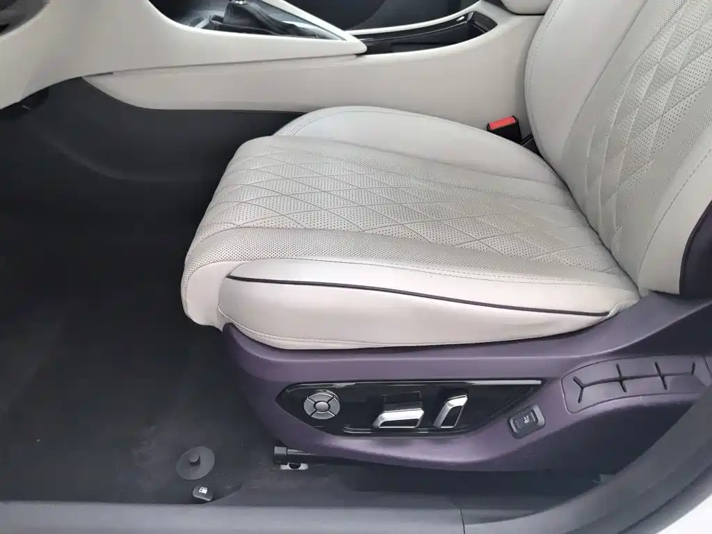 Buick GL6 — миниатюра 20
