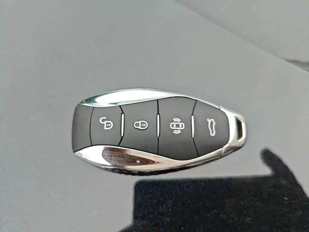 Hongqi Hongqi HS7 PHEV — миниатюра 9