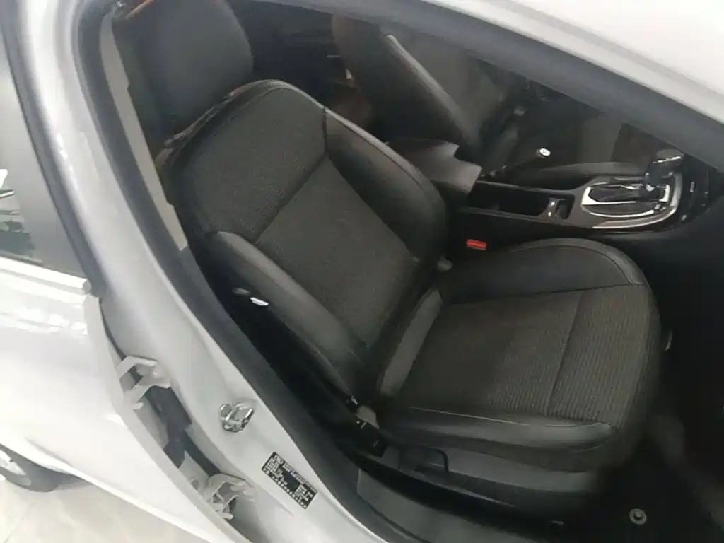 Buick Regal — миниатюра 25