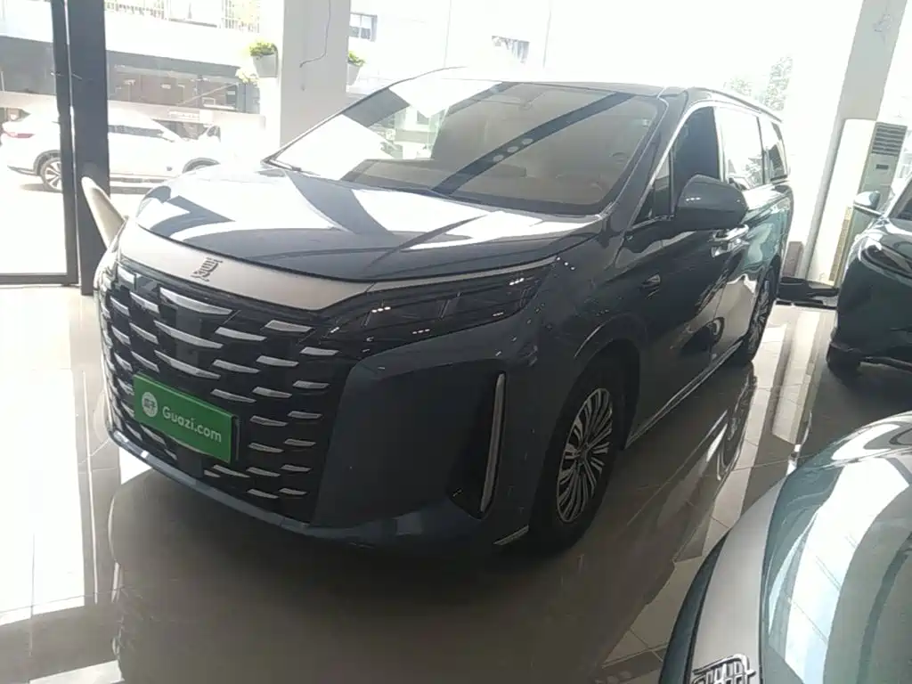 BYD Xia 2025 DM-i 1.5T 180km