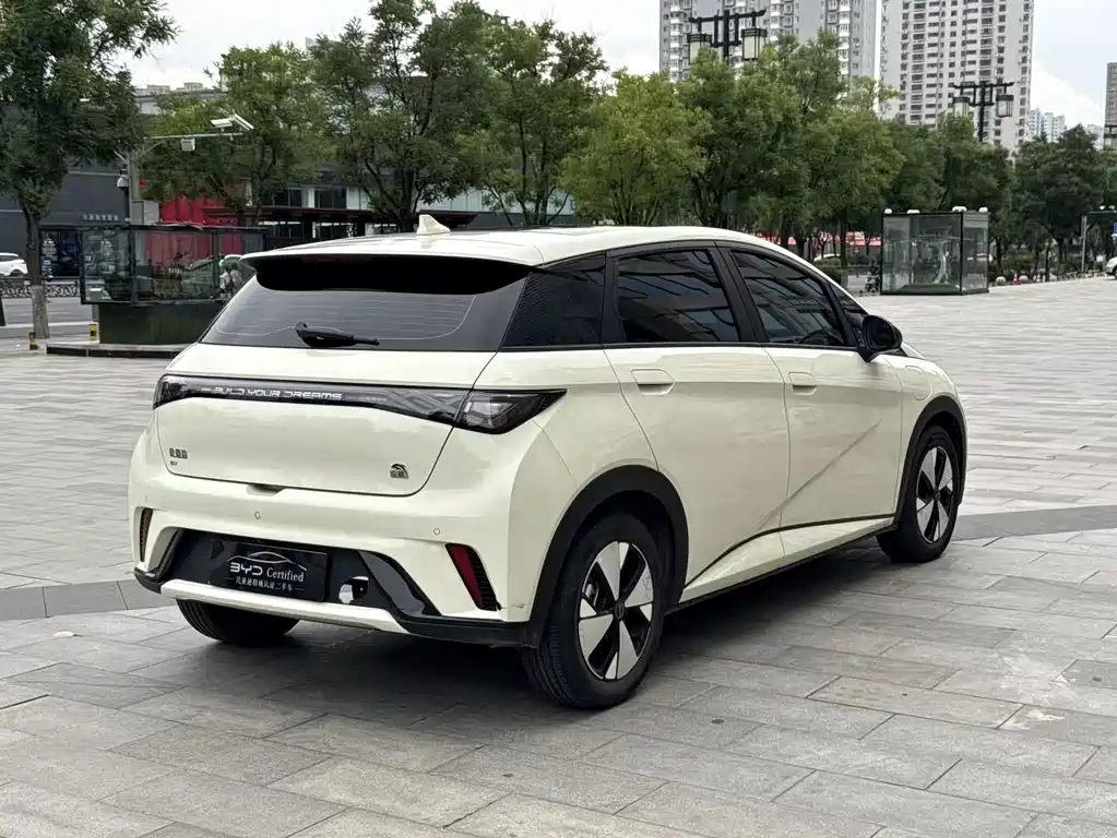 BYD Dolphin — миниатюра 21