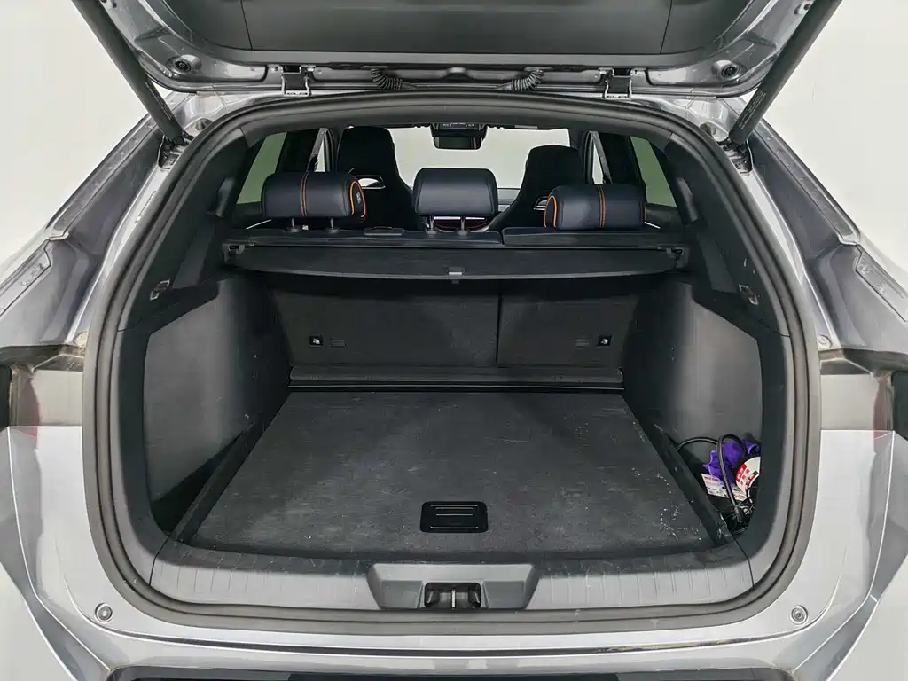 BYD SONGJIANG NEW ENERGY