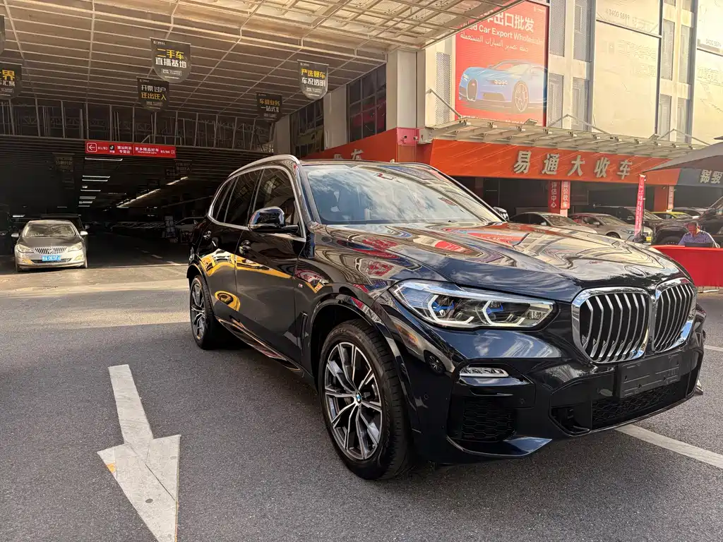 BMW X5 (Import) — миниатюра 2