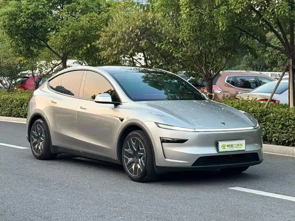 Tesla Model Y L — миниатюра 4