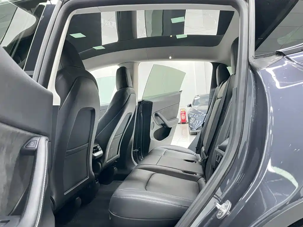 Tesla Model Y — миниатюра 9