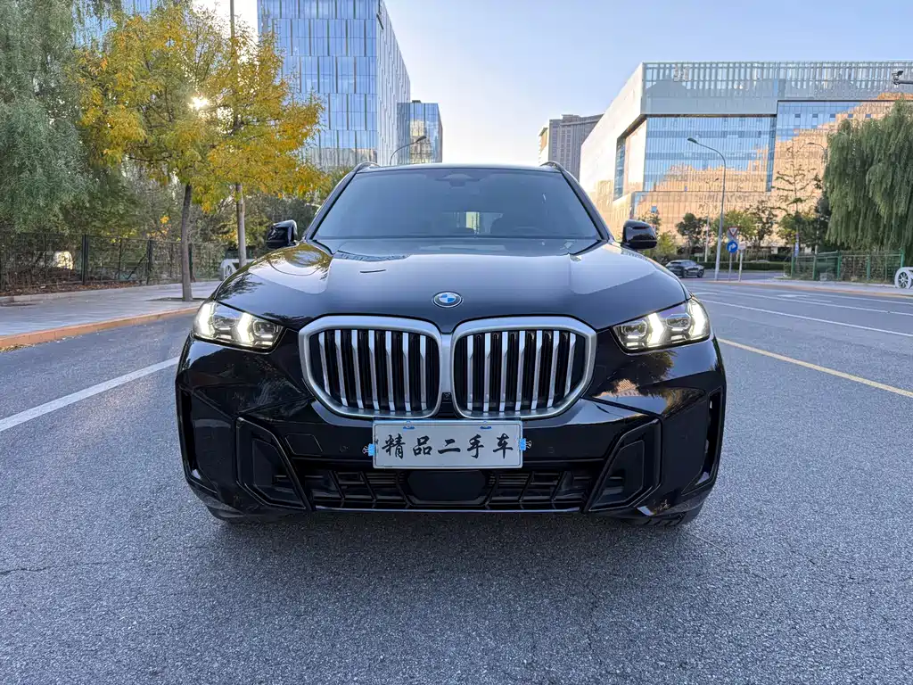 BMW X5 — миниатюра 2