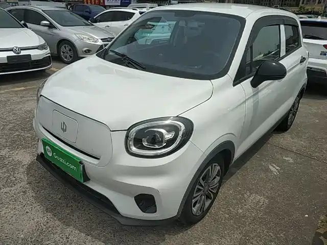 2021 Leapmotor T03