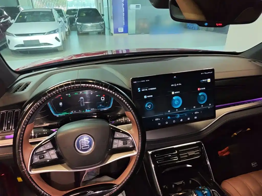 BYD Tang New Energy — миниатюра 6
