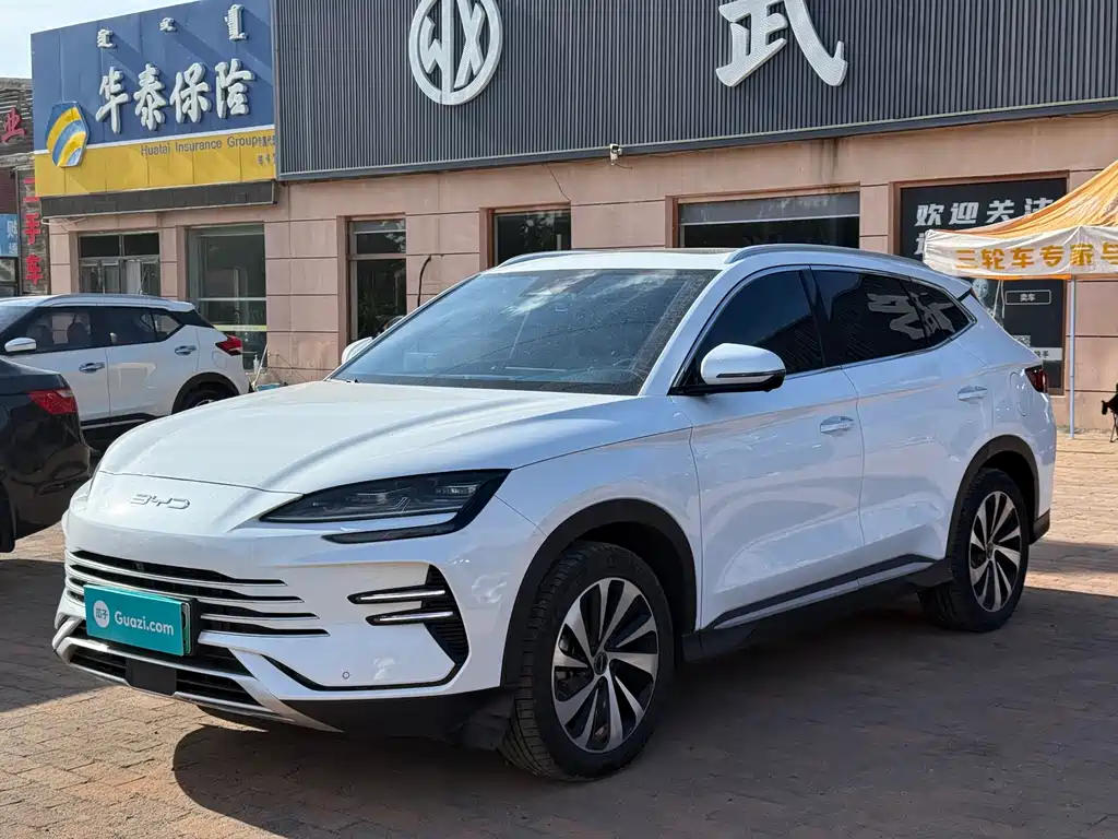 BYD PLUS New Energy
