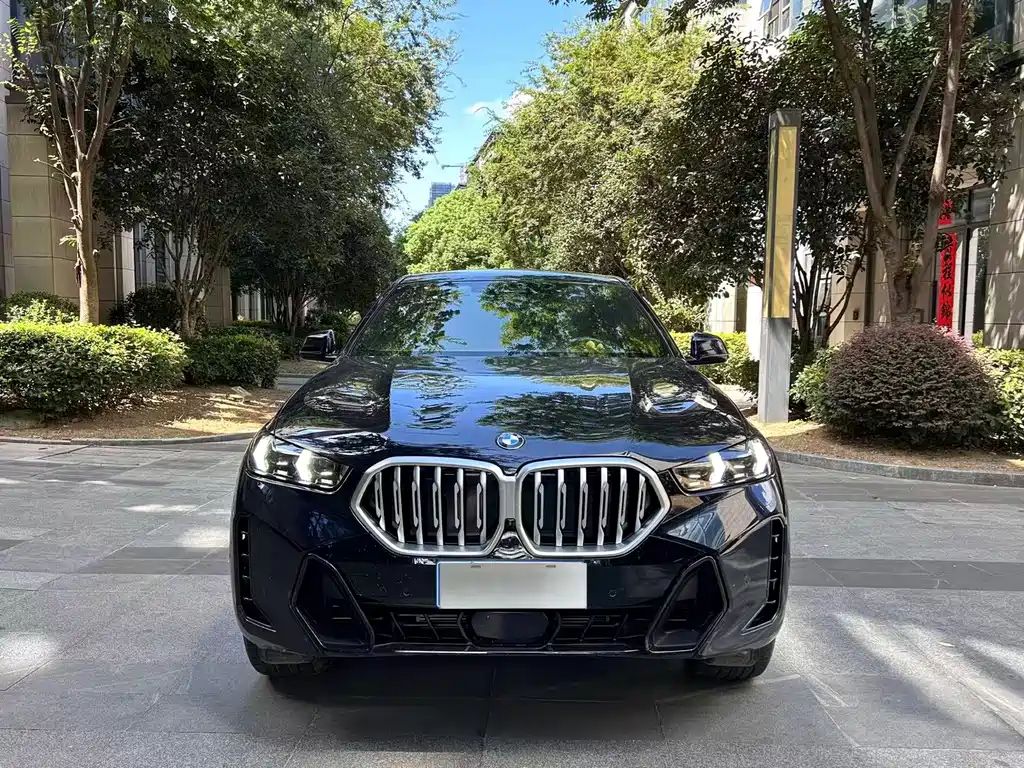 BMW X6 — миниатюра 2