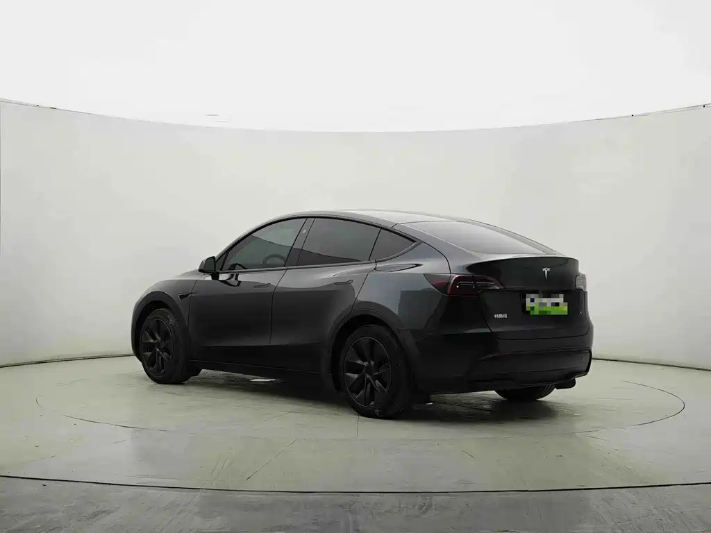 Tesla Model Y — миниатюра 8