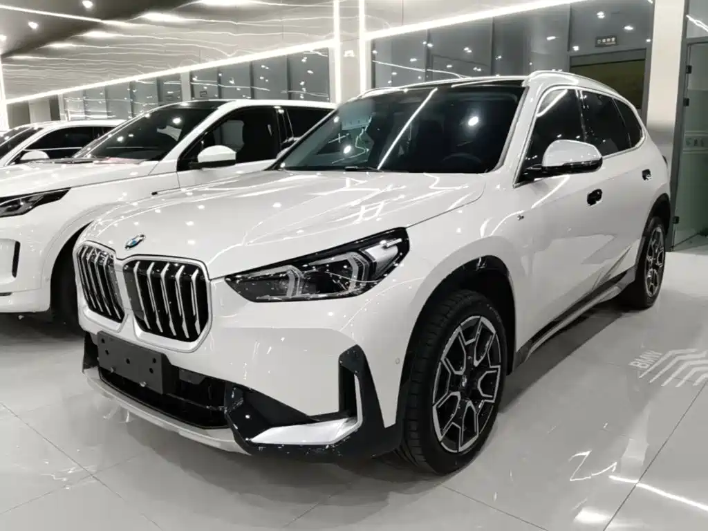 BMW X1 — миниатюра 2